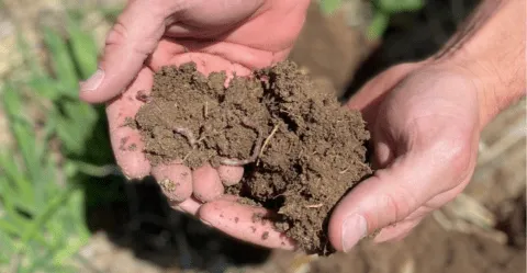 soil sampling carbonnow locus ag