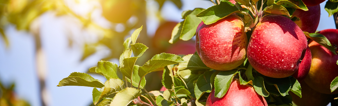 Agricultural Biologicals Orchards