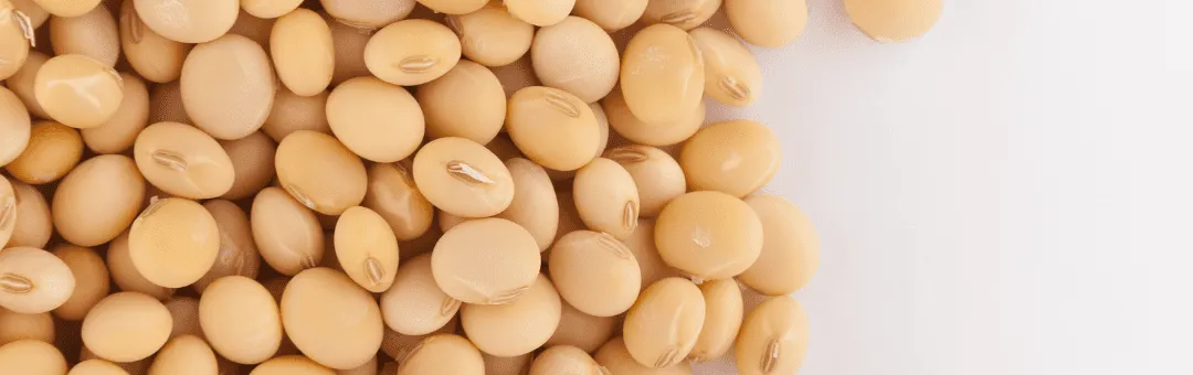 Biological Seed Treatments - Comprehensive Guide