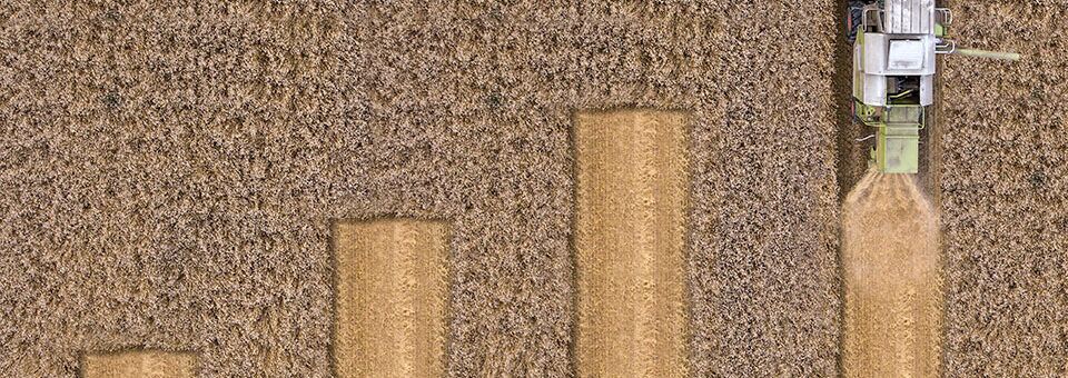 Ag Crop Yield Increases from Biologicals PR image