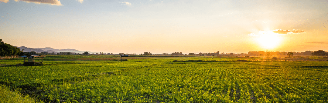 Addressing Farming Challenges