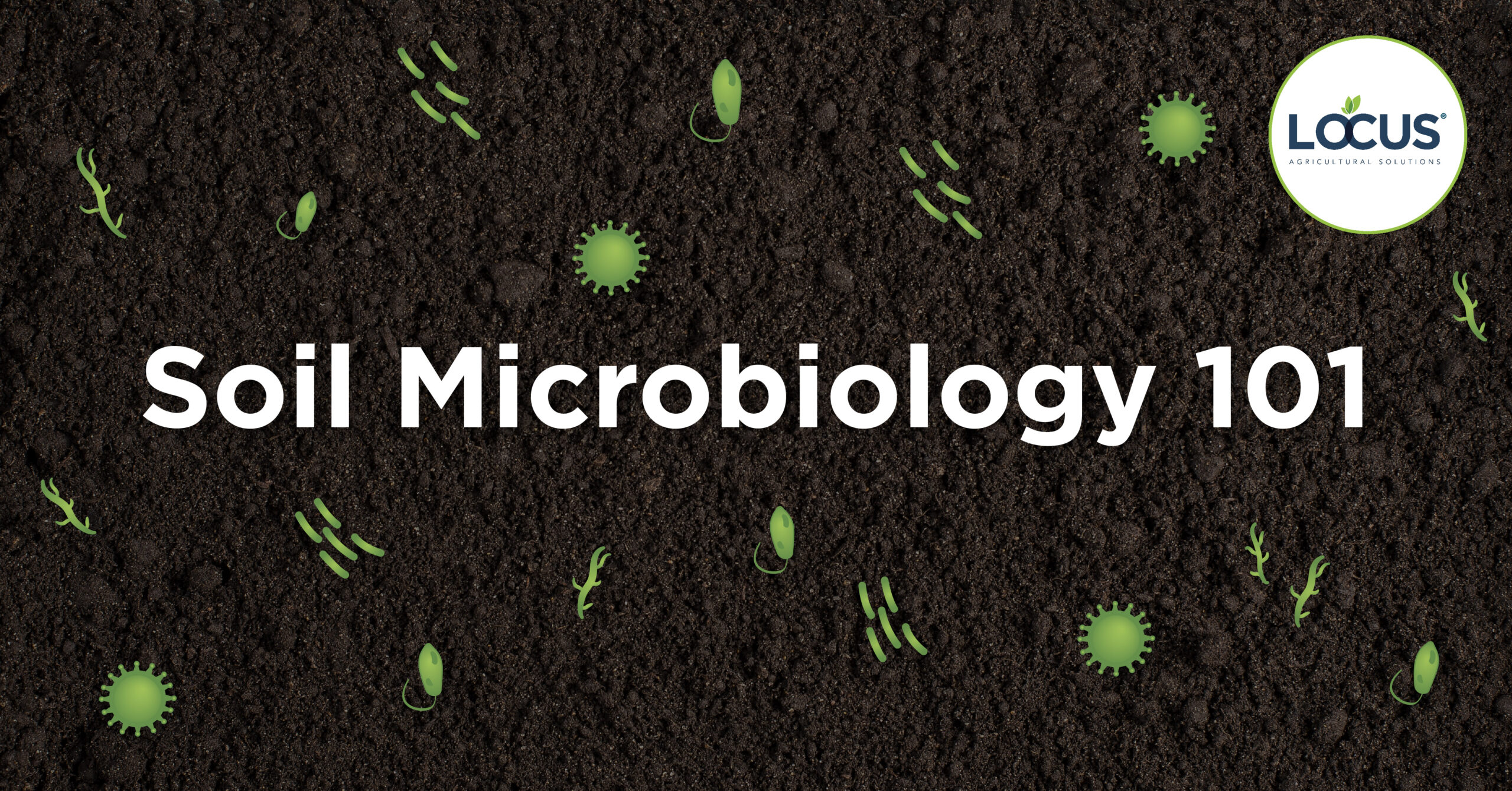 What Are Soil Microbes? And Why Do They Matter In Agriculture? | Locus ...