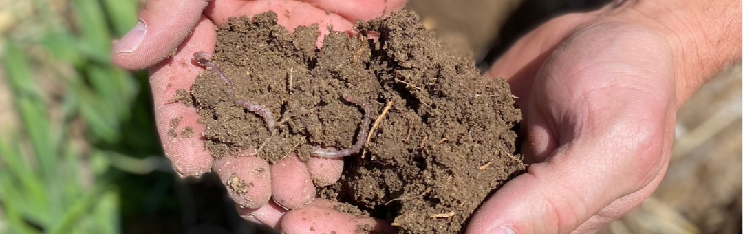 soil sampling carbonnow locus ag