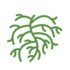 icon box image