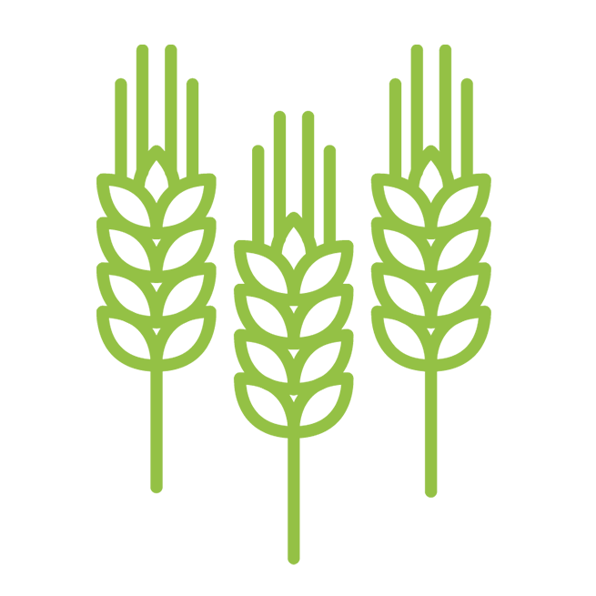 wheat icon