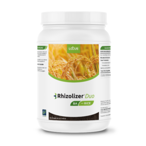 Rhizolizer Duo Box Applied for Rice biologicals