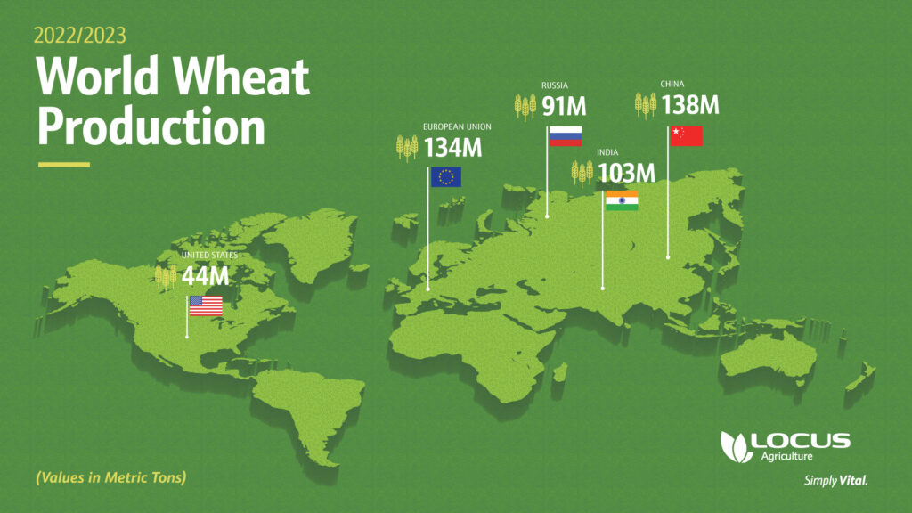 global wheat production countries 