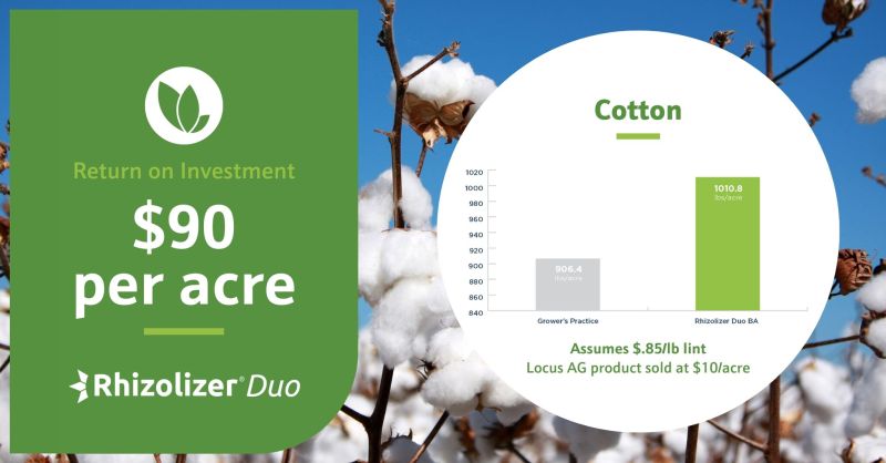 yield data cotton biologicals