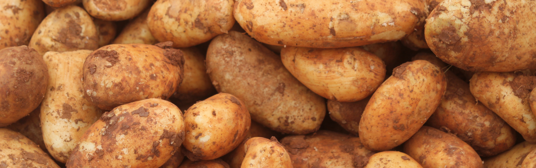 Biologicals for Potato Crops