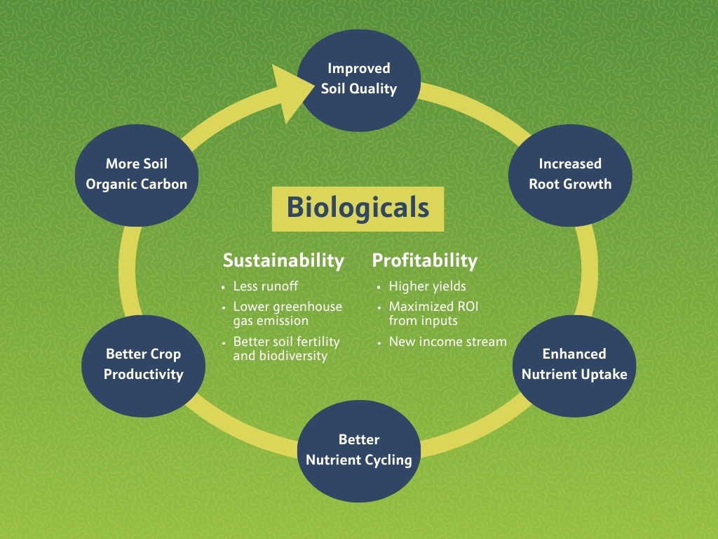 Biologicals Sustainability in Agriculture