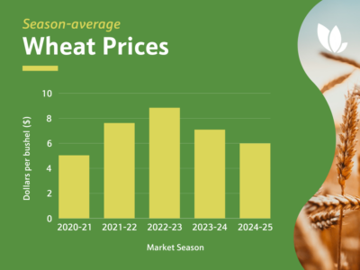 Annual market season US wheat prices