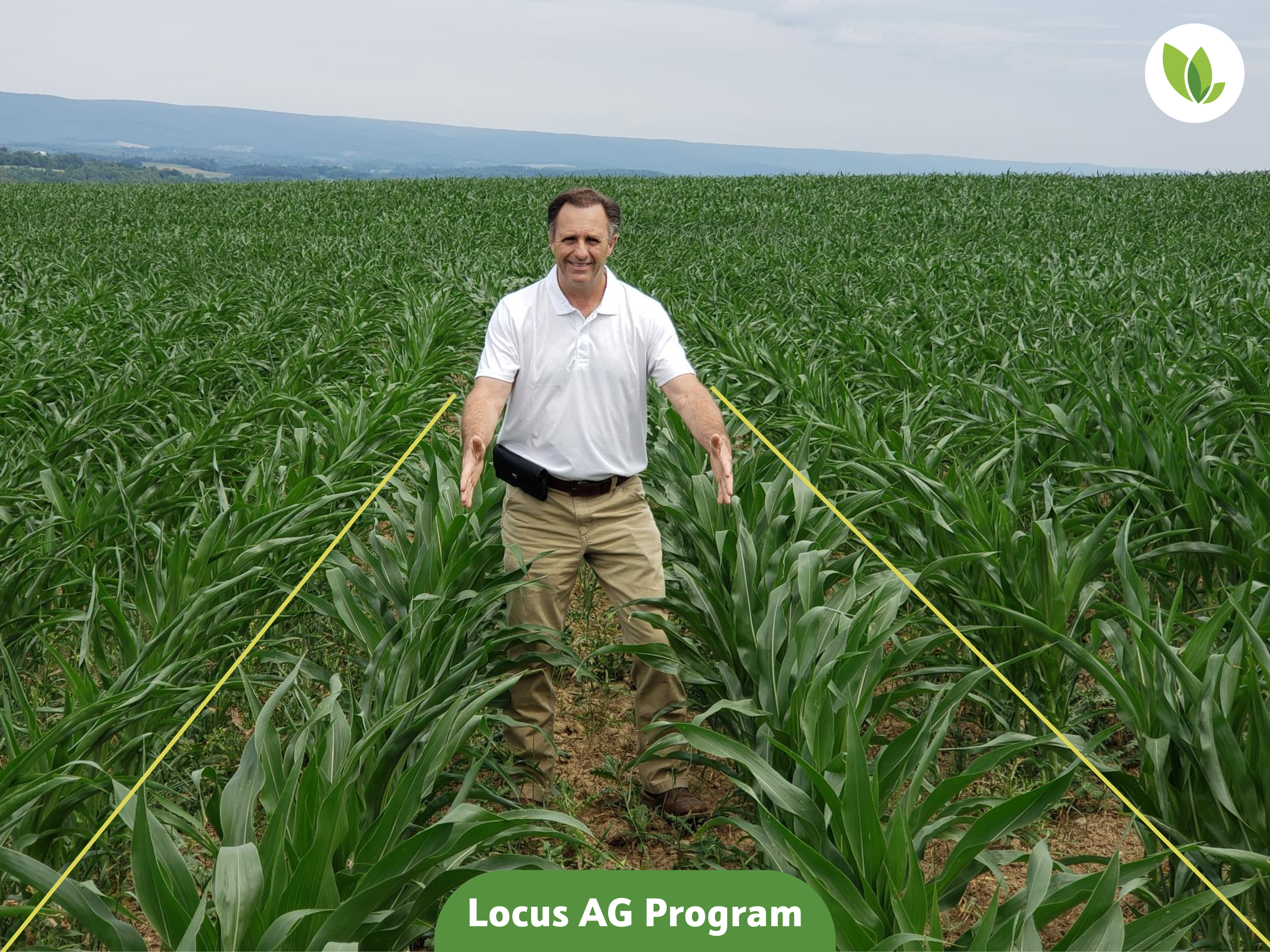 Corn growth in row treated with biologicals