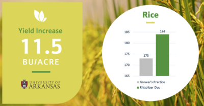 University of Arkansas Rice Research, Locus AG Biologicals Yield Results