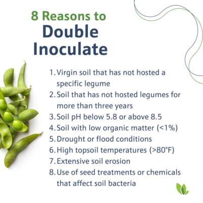 8 reasons to double inoculate soybeans